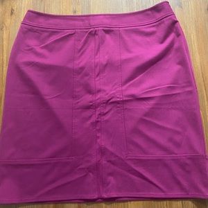 Ann Taylor stretch skirt